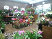 「Ｆｌｏｒｉｓｔ　樹のや」　（千葉県千葉市若葉区）の花屋店舗写真2